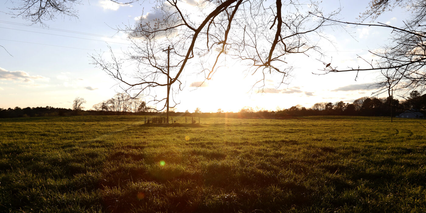 Photo of the sunset over a field in Oglethorpe County, Georgia.