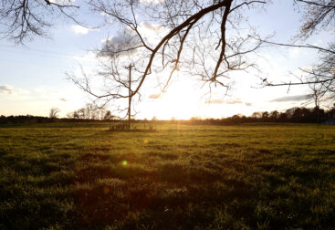 Photo of the sunset over a field in Oglethorpe County, Georgia.