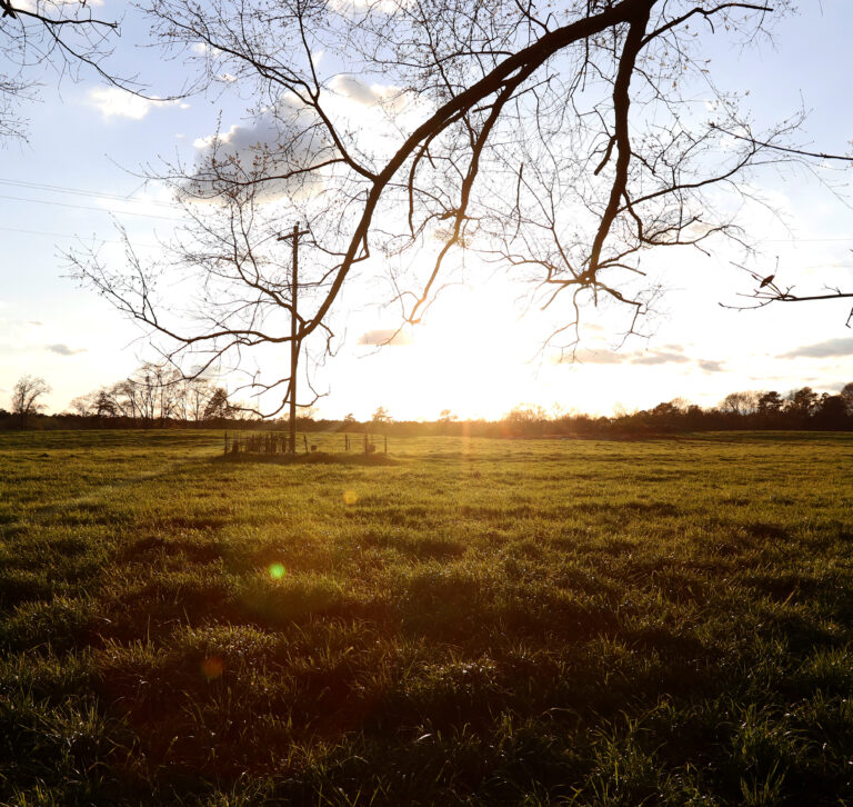 Photo of the sunset over a field in Oglethorpe County, Georgia.