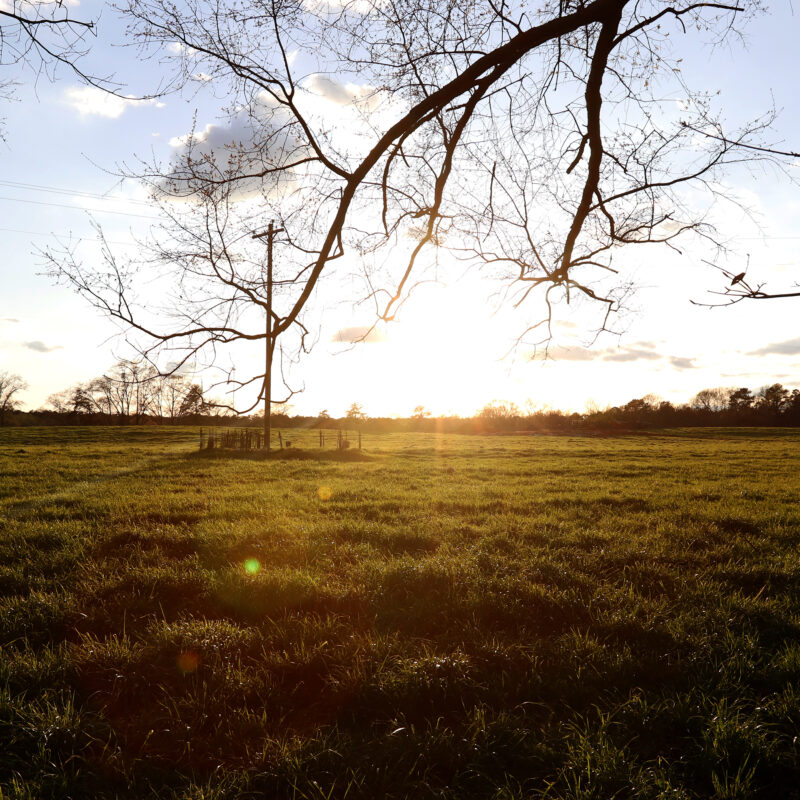 Photo of the sunset over a field in Oglethorpe County, Georgia.